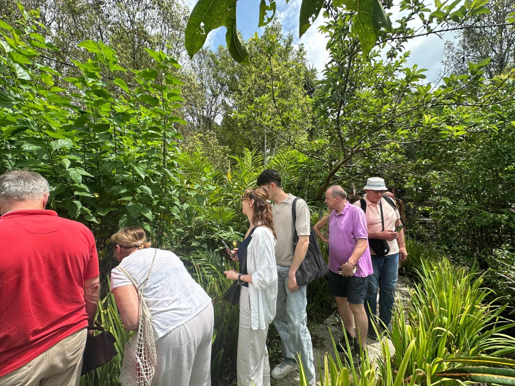 Villa Ipsa Munduk Εξωτερικό φωτογραφία